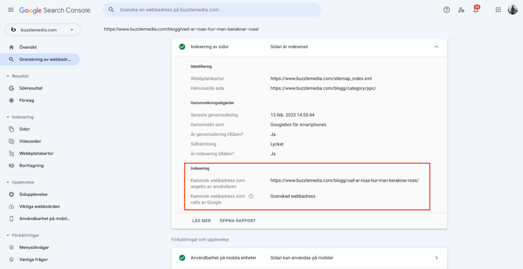 Kanonisk länk i search console